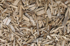 biomass boilers Fachwen